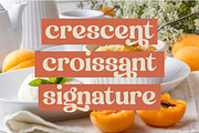 Engray Danton Modern Serif Font, a Serif Font by timelesstype.co (Thumbnail 11 of 20)