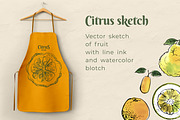 Citrus sketch. Oranges and lemons, a Food Illustration by irina.vaneeva (Thumbnail 11 of 11)