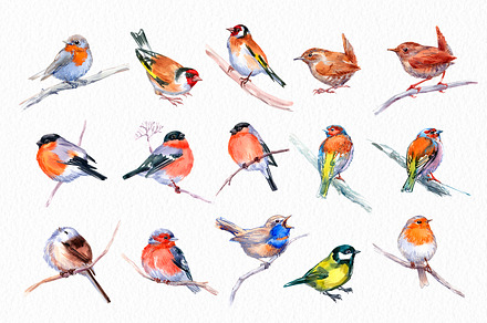 Small forest birds - watercolor set