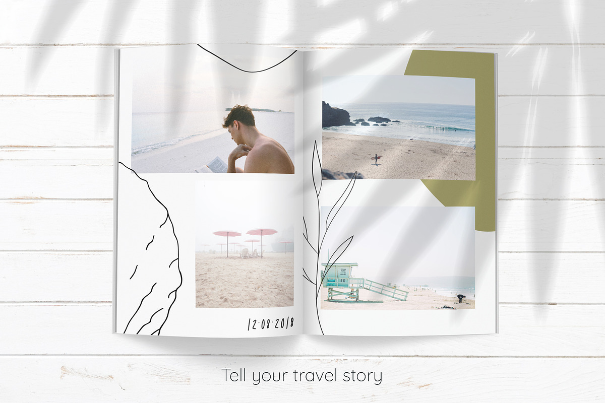 Seashells collection, a Background Graphic by Svyatoslava_M (Photo 4 of 8)