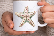 Whimsical Summer Starfish Clipart, an Illustration by Canvas Craft (Thumbnail 6 of 7)