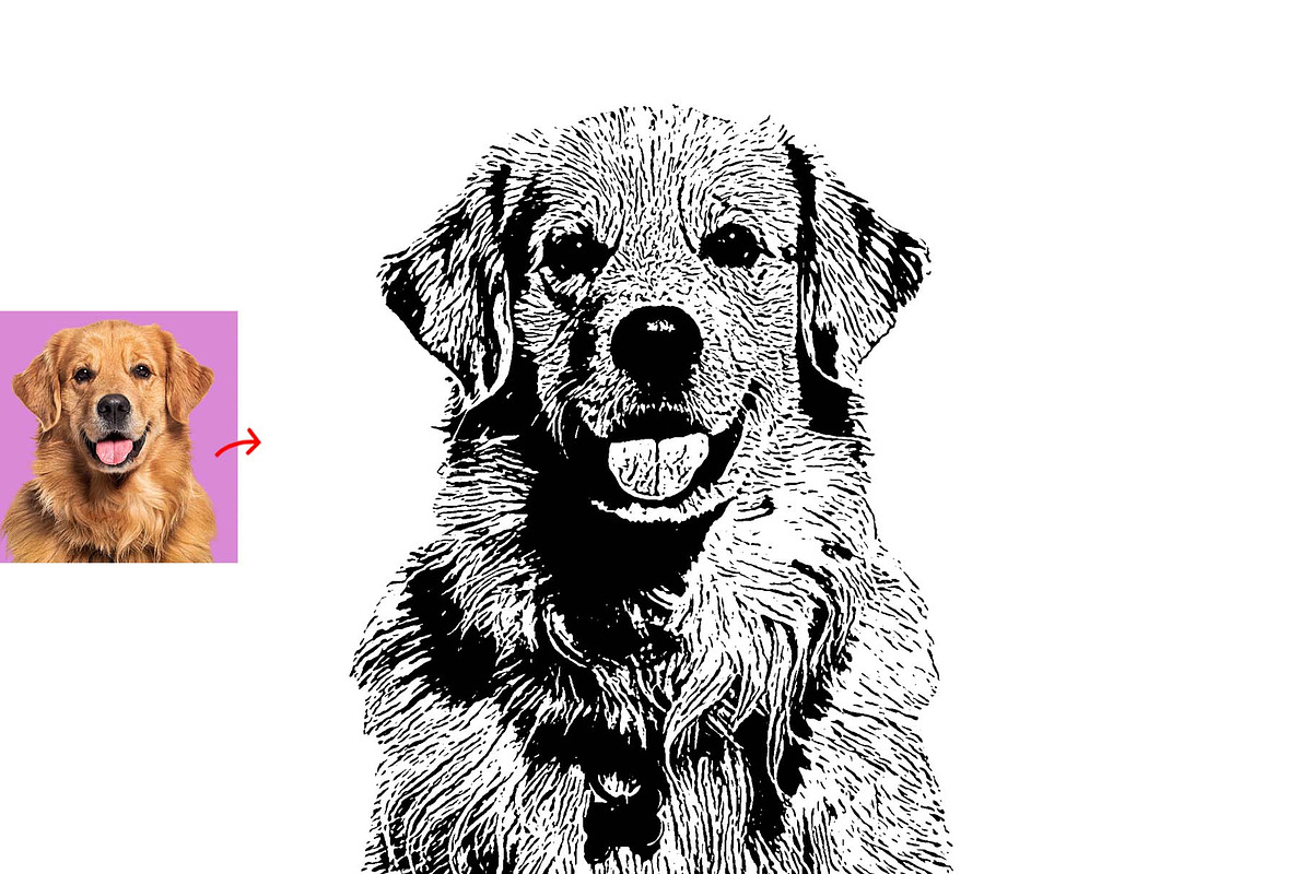 Animal Photo to Tracing, an Action Add-On by MRI STUDIO (Photo 2 of 10)