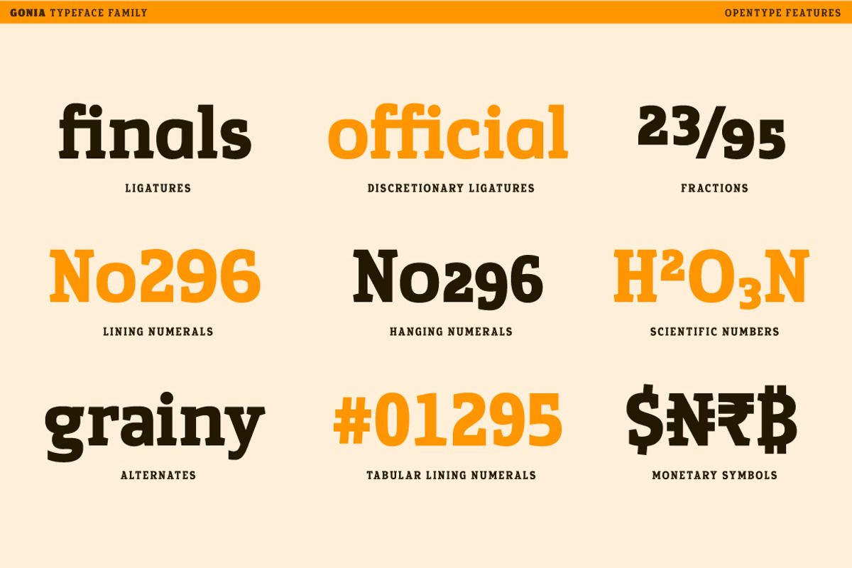 Gonia, a Slab Serif Font by Typogama (Photo 7 of 15)