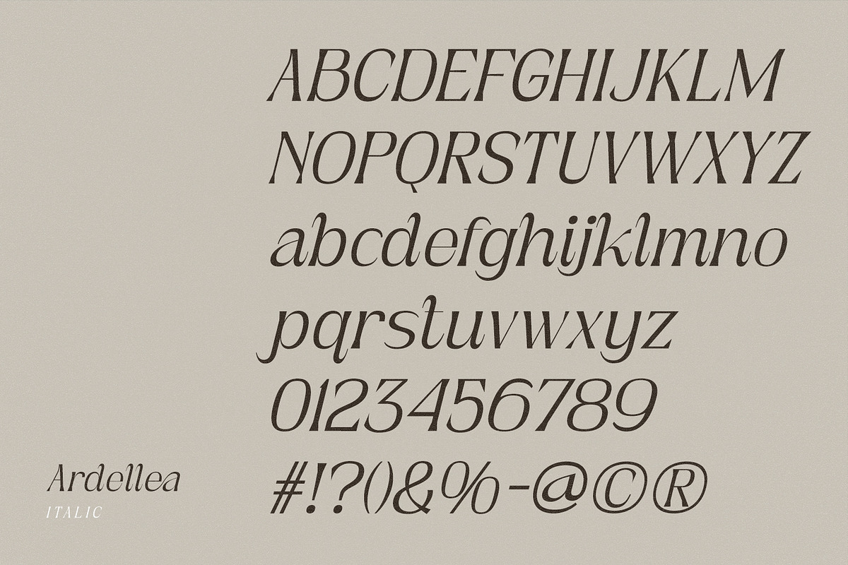 Ardellea, a Serif Font by din-studio.com (Photo 7 of 16)