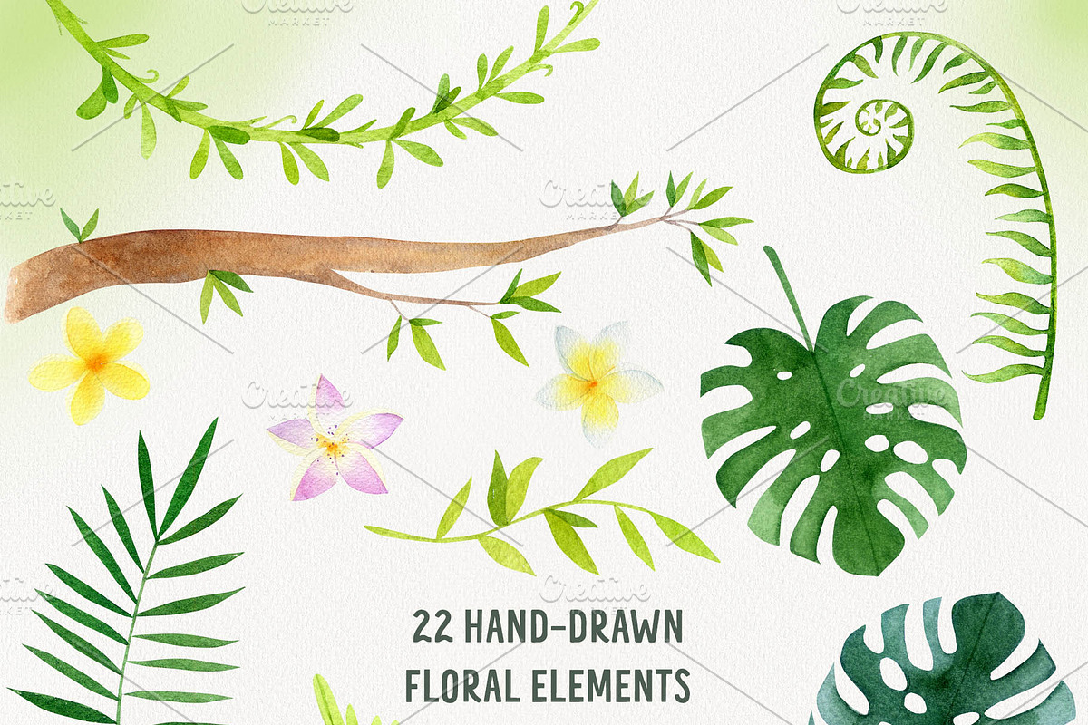 Watercolor Jungle Animal Clipart, an Animal Illustration by Watercolor Nastasia Art (Photo 3 of 7)