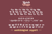Retro Dingo - Modern Vintage Serif, a Serif Font by Airotype (Thumbnail 10 of 12)