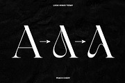 Peach Chery | Display Serif Font, a Serif Font by LOOK MINUS TODAY (Thumbnail 3 of 12)