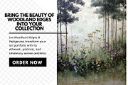 30+ Woodland Edges & Hedgerows, a Decorative Illustration by Virgo Studio (Thumbnail 6 of 6)
