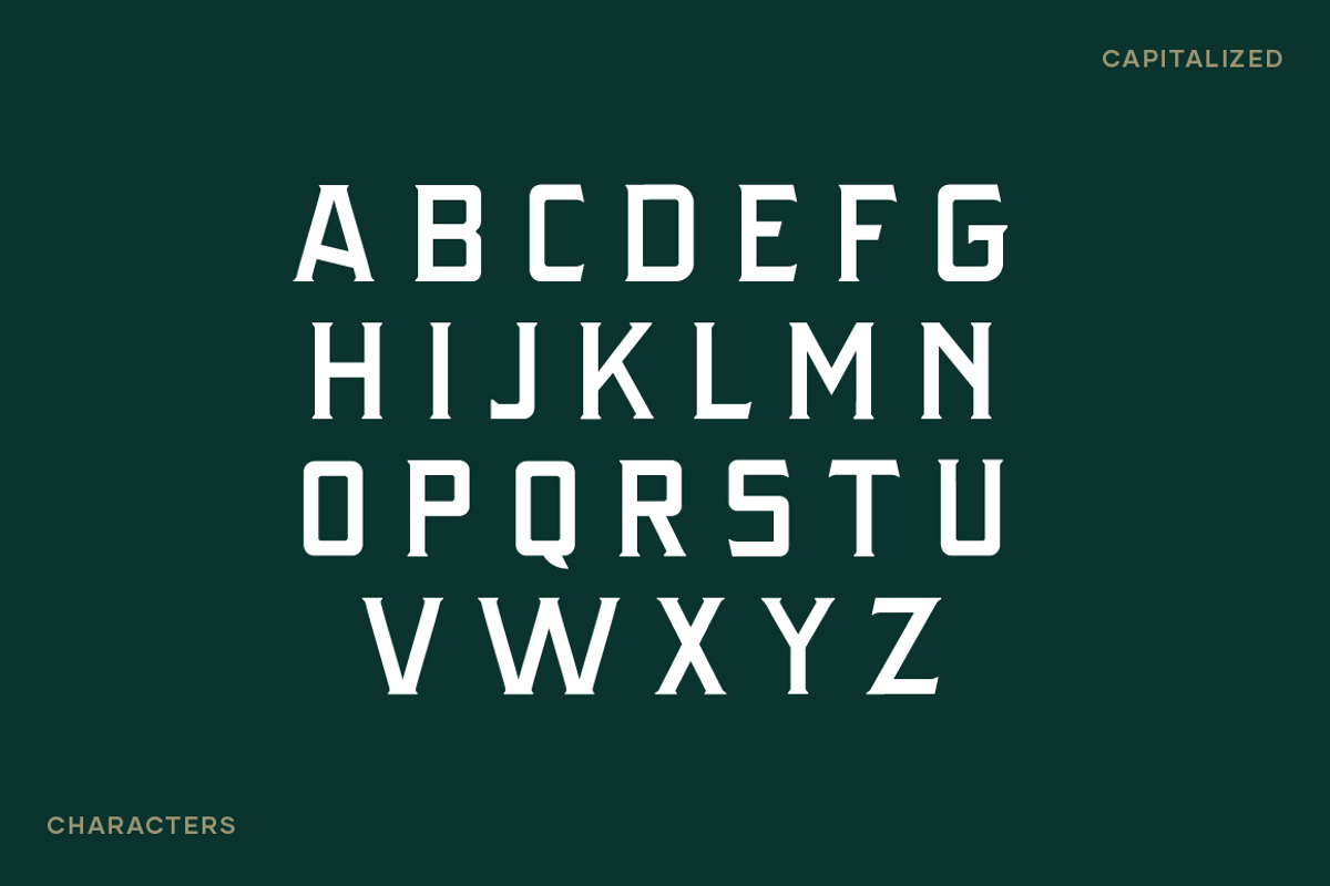 Rattlesnake - Vintage Serif Font, a Serif Font by Creative Type (Photo 6 of 13)