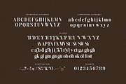 Dinglist - Elegant Serif Font, a Serif Font by TypeLogue (Thumbnail 5 of 5)