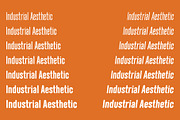 Neumatic Gothic Round, a Sans Serif Font by Arkitype (Thumbnail 7 of 14)