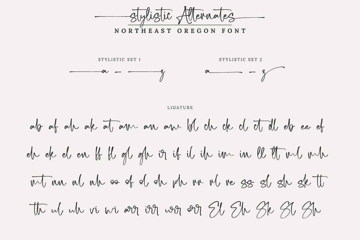 Northeast Oregon, a Script Font by Nathatype (Photo 10 of 10)