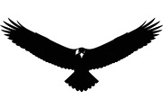 50 Flying Eagle Silhouette Vector Bu, an Illustration by Designs_River (Thumbnail 3 of 51)
