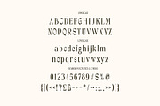 Valerie Howard Creative Serif, a Serif Font by Cruzine (Thumbnail 4 of 7)