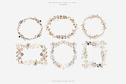 watercolor beige wildflower clipart, a Decorative Illustration by Patishop Art (Thumbnail 8 of 10)
