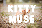 Bondy Space Cartoon Font, a Handwritten Font by Fourteen Letter (Thumbnail 4 of 6)