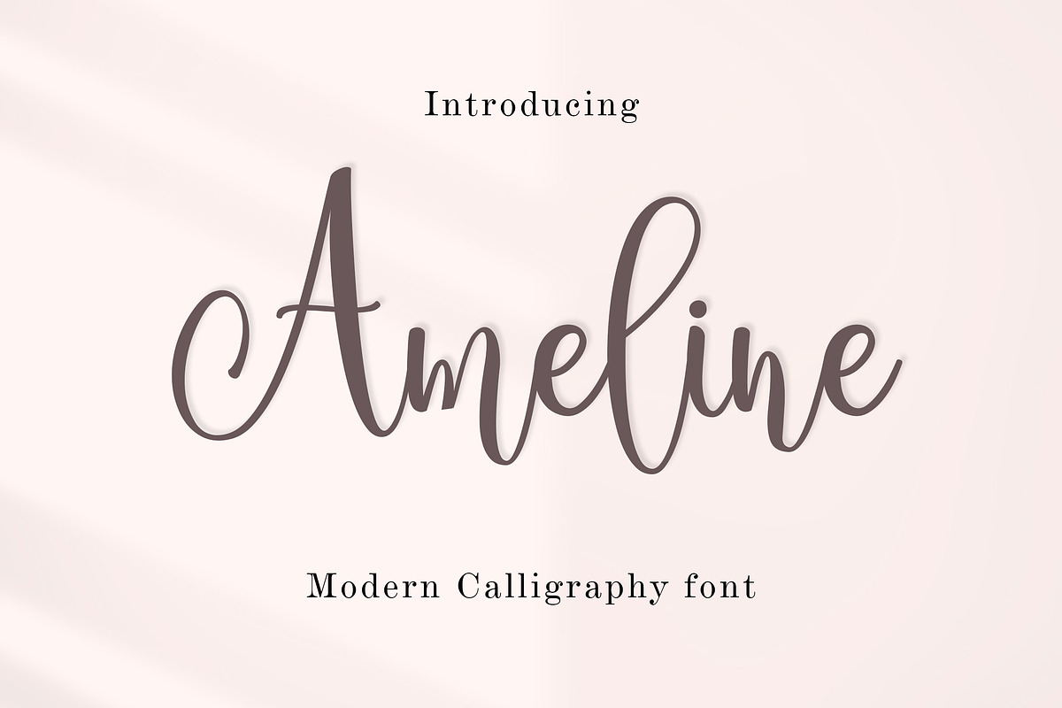 Ameline Script, a Script Font by Amarlettering (Photo 1 of 6)