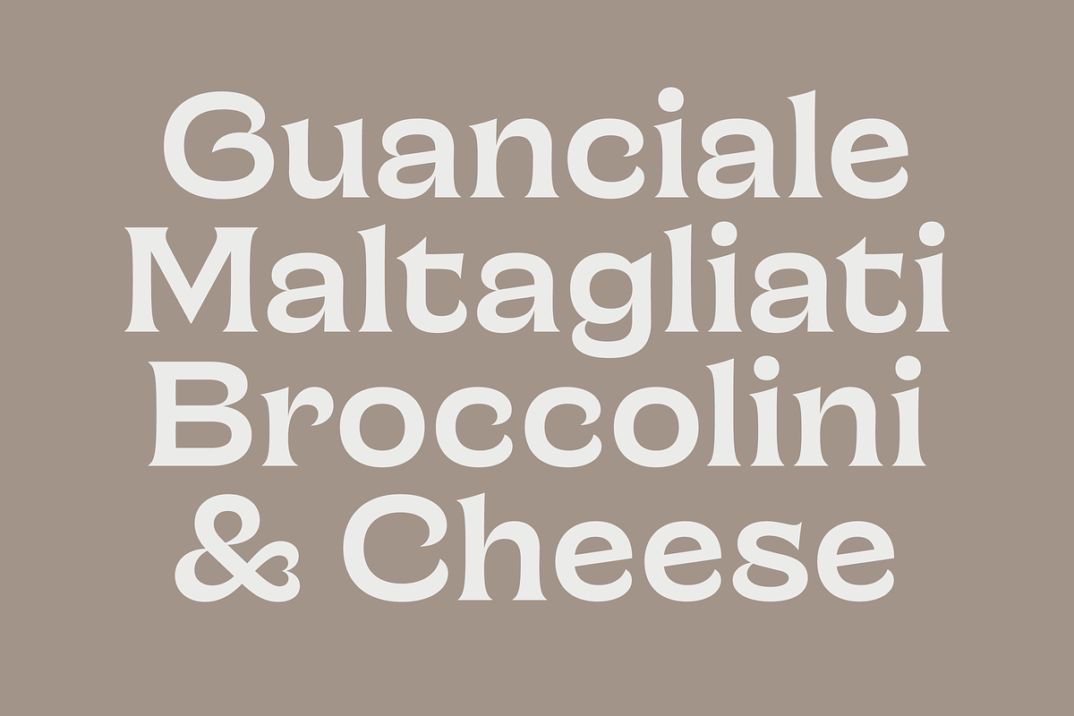 Chronique, a Serif Font by Haus Type (Photo 2 of 7)