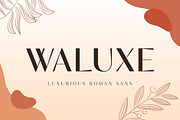 Waluxe - Luxurios Roman Sans, a Sans Serif Font by Almarkhatype (Thumbnail 1 of 10)