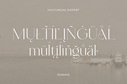 NT SEAWAVE, a Serif Font by nevsky.type (Thumbnail 9 of 10)