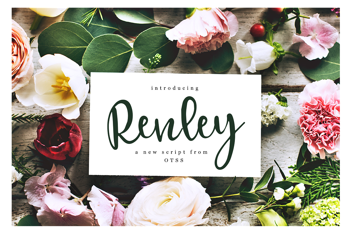 Renley - An Everyday Script
