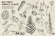Forest Life Line Art + Procreate, an Object Illustration by Skliarova (Thumbnail 5 of 6)