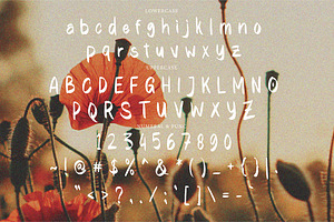 Williony - Brush Font