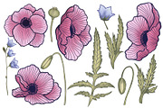 Delicate poppies, a Pattern Graphic by palllna (Thumbnail 4 of 4)