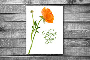 Ranunculus Floral ClipArt Realistic, an Object Graphic by Turning Moss (Thumbnail 9 of 12)