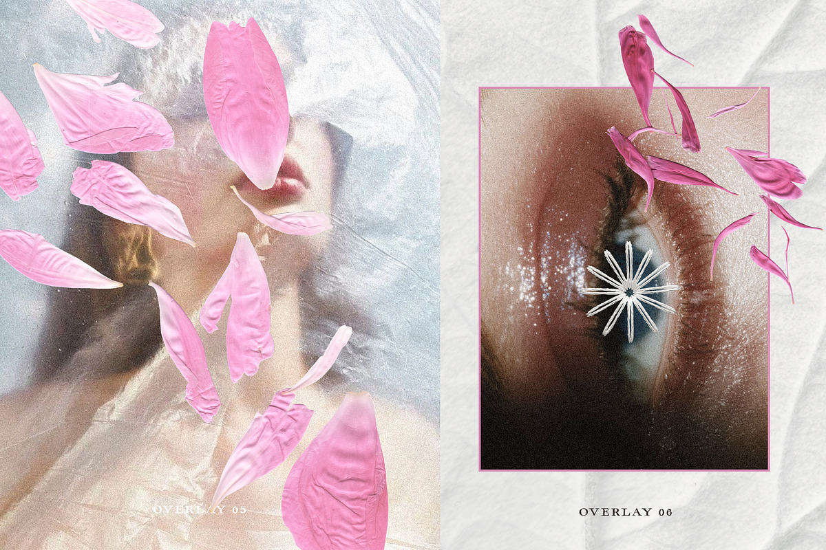 Pressed Bloom Dopamine Set, an Object Graphic by Muse Artist (Photo 10 of 16)