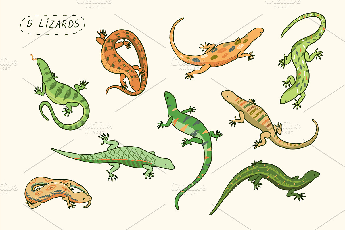 9  Lizards, an Animal Illustration by GooseFrol (Photo 1 of 6)