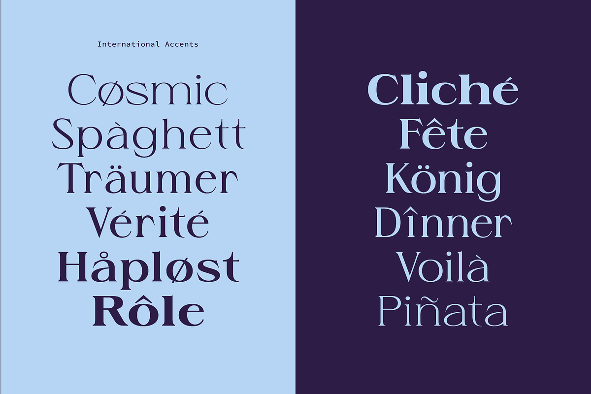 Grise - Variable Serif (18 Fonts), a Serif Font by VectorKiss GraphicsSupply (Photo 12 of 18)