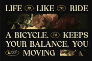 Nordhin - Classic Serif Display Font, a Serif Font by MaikoHatta (Thumbnail 2 of 9)