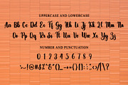 Flexibel, a Handwritten Font by InermediaSTUDIO (Thumbnail 8 of 8)
