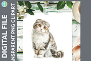 Cat Breed Clipart Bundle, 24 PNGs, an Animal Illustration by Enliven Designs (Thumbnail 6 of 8)