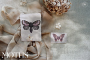 Cicada - Insects & Flowers Ink Set, a Texture Illustration by Kaleriia (Thumbnail 2 of 10)