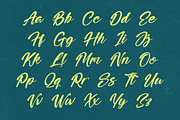 Higten Wasted Bold Handwritten Font, a Script Font by stylishtype.co (Thumbnail 6 of 20)
