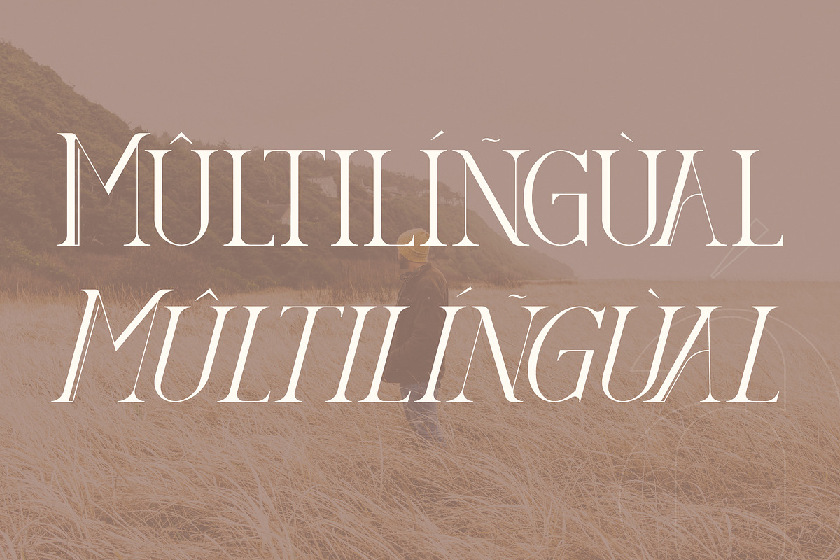 DIEGO Modern Serif Font Display, a Serif Font by Storytype Studio (Photo 11 of 15)