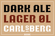 Regius Typeface, a Serif Font by Jan-Christian Bruun (Thumbnail 5 of 12)