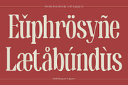 Benida Rounded, a Serif Font by Craft Supply Co. (Thumbnail 3 of 8)