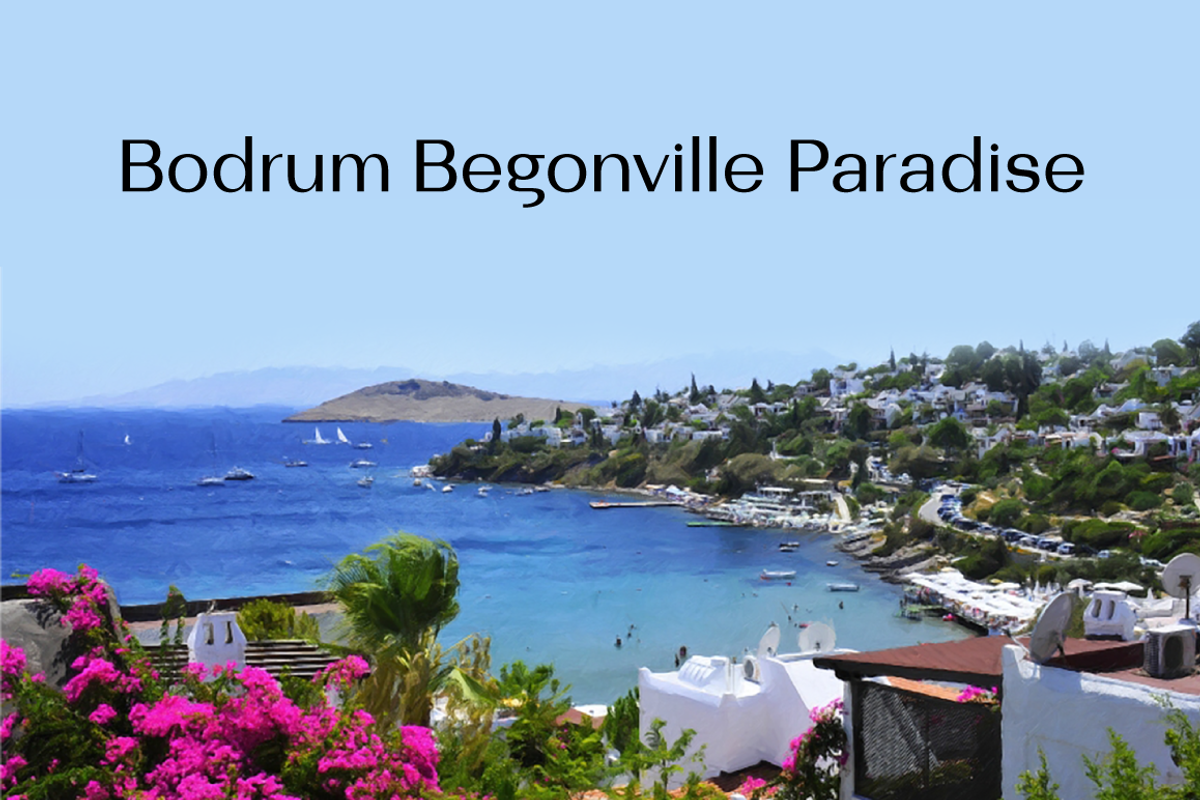 Bodrum Sans, a Sans Serif Font by BULENT YUKSEL (Photo 6 of 12)