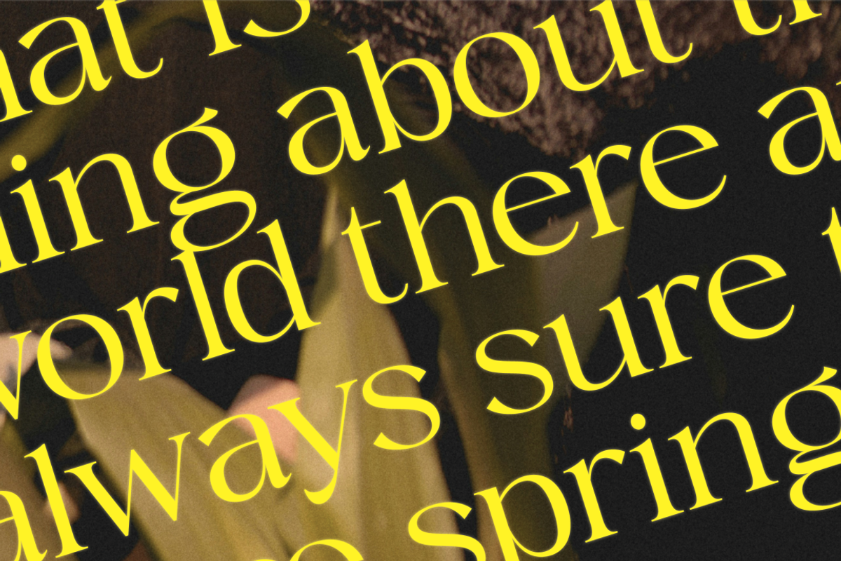 Megalky | Modern Elegant Serif Font, a Serif Font by Rissyletter Studio (Photo 7 of 12)