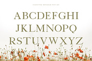 Leafletter Monogram Font Kit, a Serif Font by Eclectic Anthology (Thumbnail 5 of 7)
