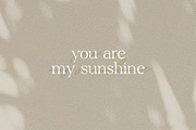 Ochre | A Branding Serif, a Serif Font by Touch and Form (Thumbnail 3 of 6)
