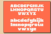 Moga - Modern Serif Font, a Serif Font by Luna Shop (Thumbnail 2 of 10)