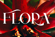 Clucks, a Serif Font by zaaintype (Thumbnail 3 of 10)