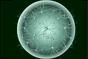 Neuron isolated vector illustration, a Healthcare Illustration by Fedor Fiberg Vector Shop (Thumbnail 2 of 2)