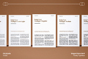 Stainger, a Sans Serif Font by din-studio.com (Thumbnail 7 of 11)
