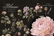Old Master Blooms. Collage kit, an Object Graphic by Polli Deeva (Thumbnail 3 of 12)