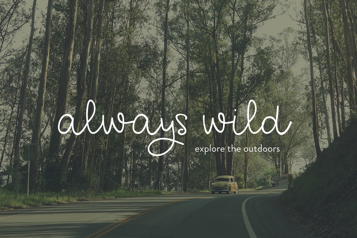 Nutmeg - Script Font preview 3